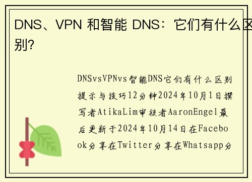 DNS、VPN 和智能 DNS：它们有什么区别？ 